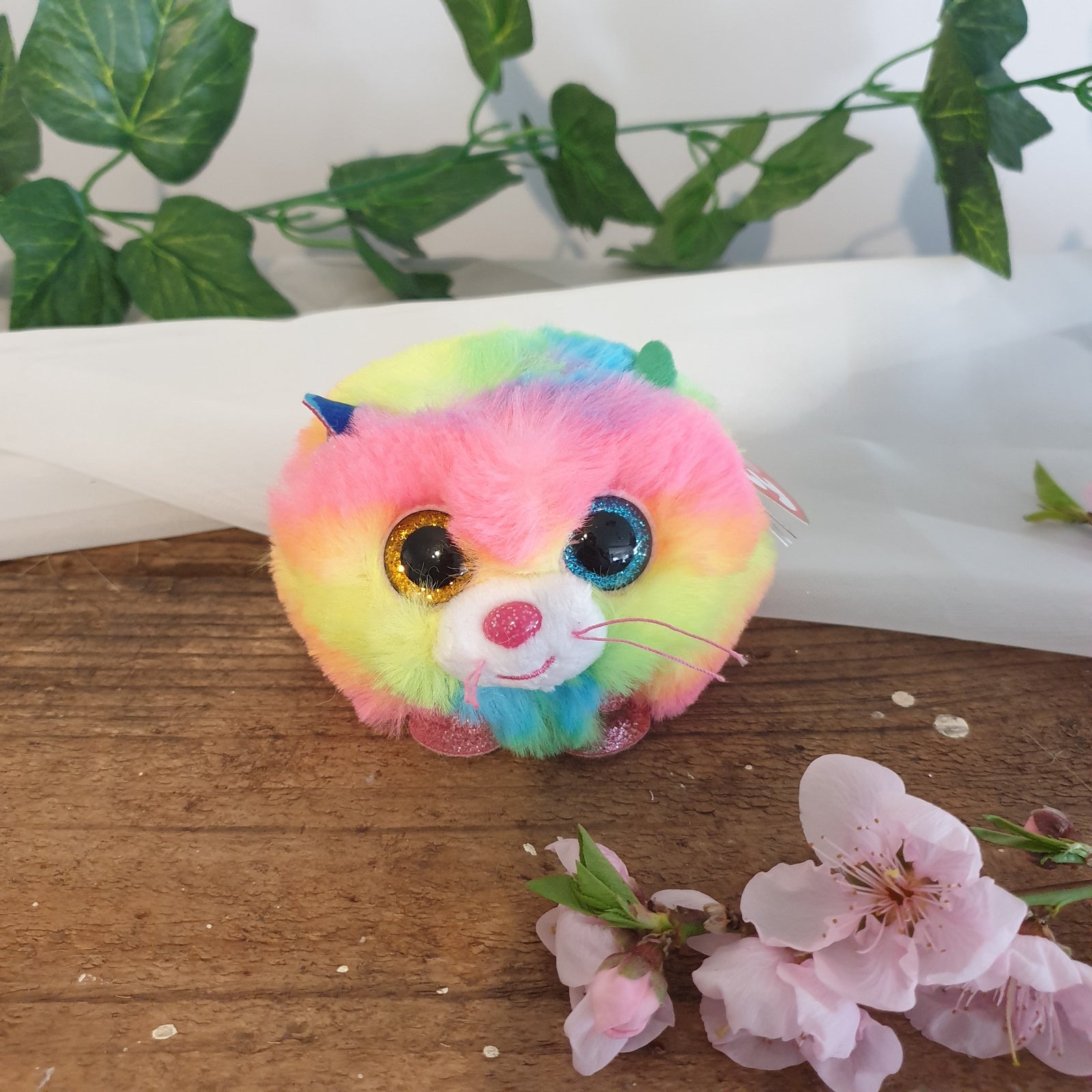 Rainbow cat beanie deals boo