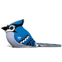 Eugy Blue Jay