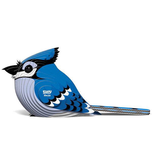 Eugy Blue Jay