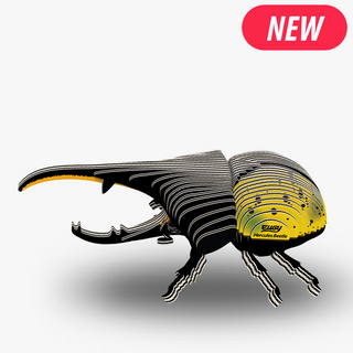 Eugy Hercules Beetle