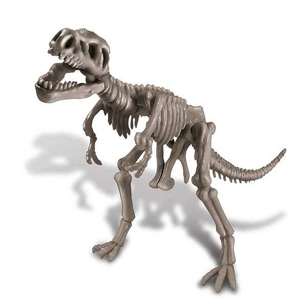 4M Dig a Dinosaur T-Rex Science Kit for Children 3