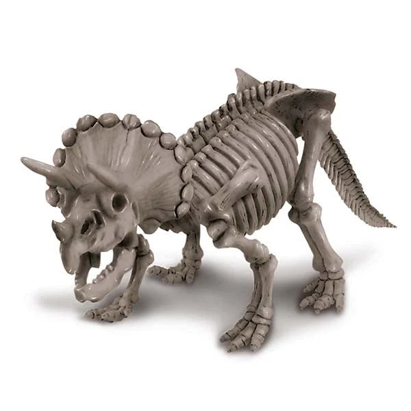 4M Kidzlabs - Dig a Dinosaur Triceratops Science Kit for Children 3