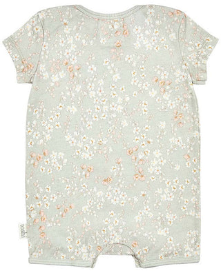 Toshi Onesie Short Sleeve Classis Stephanie